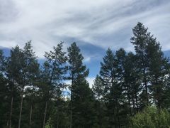 -塞罕坝国家级自然保护区