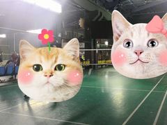 -东丽温泉羽毛球