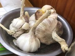 -回坊马二饺子馆