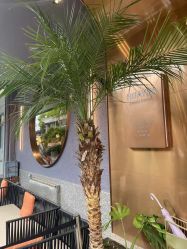 点击看大图 -花隐·美芙炫海菲秀皮肤管理中心