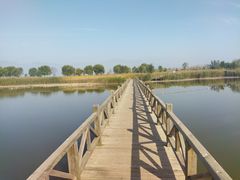 -野鸭湖国家湿地公园