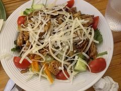 日式照烧鸡肉沙拉-萨尔瓦多Salvador's