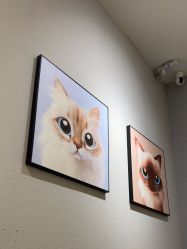 -洗脸猫·洗脸吧