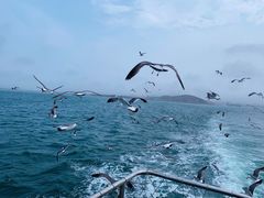 -海驴岛(荣成市)
