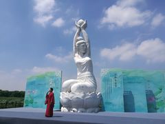 -荷塘月色湿地公园·向阳花洲