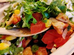 -油梨树AVOCADO TREE(嘉里中心店)