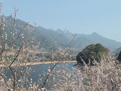 -广州市流溪河国家森林公园