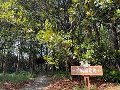 -上海滨江森林公园