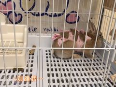 -美迦爱-牙专科·兔科·骨科诊疗中心(北苑店)