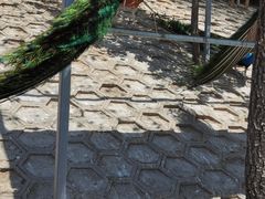 -北京鹿世界主题园