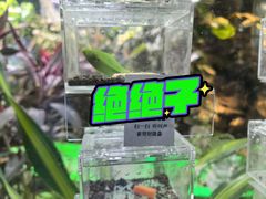 -上海大自然野生昆虫馆(东方明珠·爬宠昆虫探索中心)