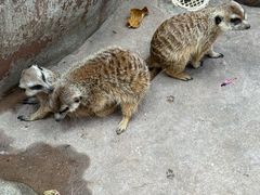 -长鹿旅游休博园