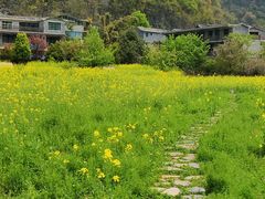 -高荡千年布依古寨旅游景区