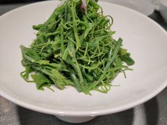 炒龙须菜-润泽天·湘味家宴(岳麓山店)
