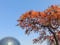 -陕西自然博物馆