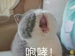 -小乐惠(西溪路店)