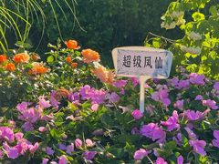 -济南大明湖景区