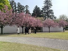 -金泽21世纪美术馆