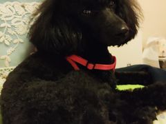 -上海证券交易所(上海证券大厦北塔店)