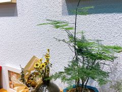-九秋茶铺(三里屯店)