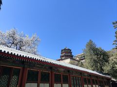 -颐和园