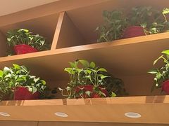 -南城香(四路通店)