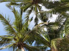 -三亚海棠湾万丽度假酒店