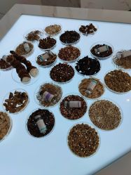 -采之汲·云南白药集团