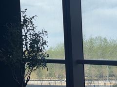 -章记星洲 · 新加坡餐厅(望京店)
