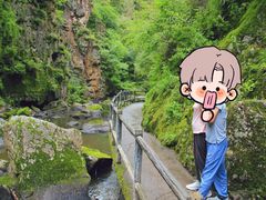 -茅兰沟国家森林公园