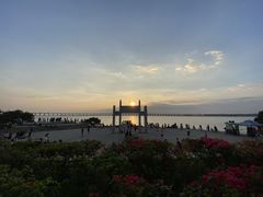 -宝安西湾红树林湿地公园