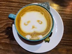 -猫色咖啡·猫咖