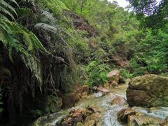 -南海湾森林生态园