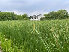 -梁鸿国家湿地公园