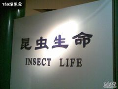 -上海昆虫博物馆