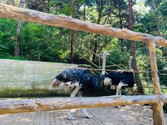 -燕塞湖鸟语林景区