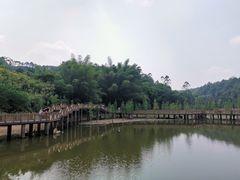 -神光山国家森林公园