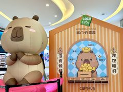 -深圳龙华星河COCO City(民治店)