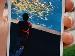-中央电视塔旋转餐厅