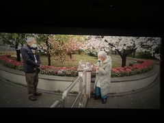 -中影新星影城(万科锦程店)