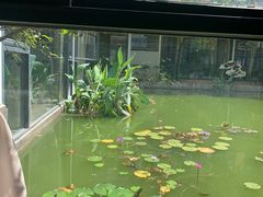 -花好悦园酒家(大石店)