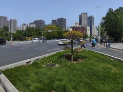 -果裹水汇(帅府店)