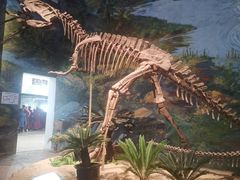 -自贡恐龙博物馆