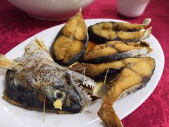 -蛇口康乐快餐鱼仔档(翠苑小区店)