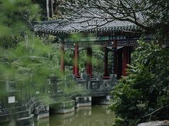 -深圳国际园林花卉博览园