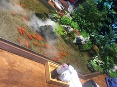 -森味薪火烧•烧鸟居酒屋•日本料理(望京店)