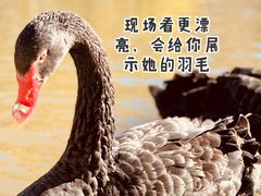 -新疆天山野生动物园