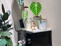 -Dogi&kiki Coffee(中心商务大厦店)