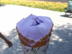 -富田农场
