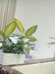 -悟空祛痘·诺奖技术专业店